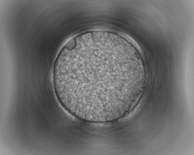 X0000110930855200907161538