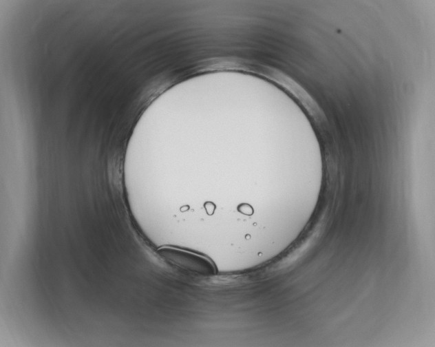 X0000110930857200907161538