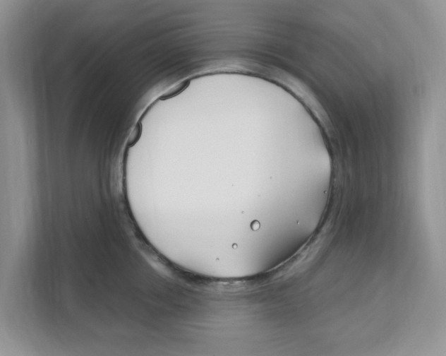 X0000110930858200907161538