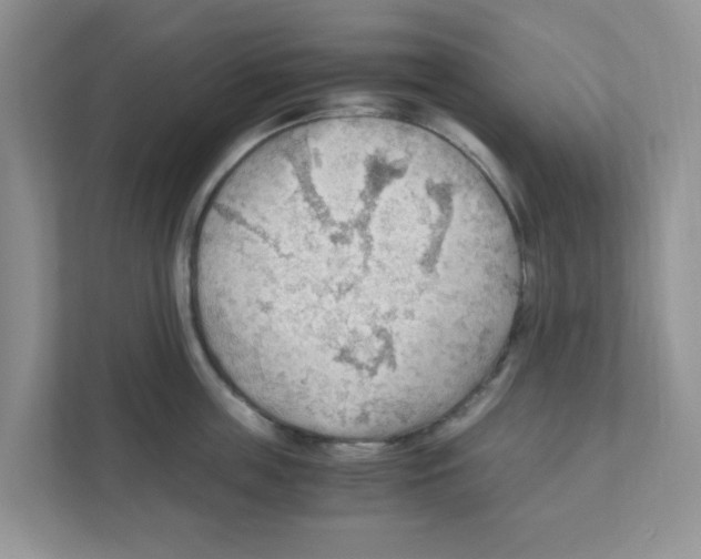 X0000110930859200907161538