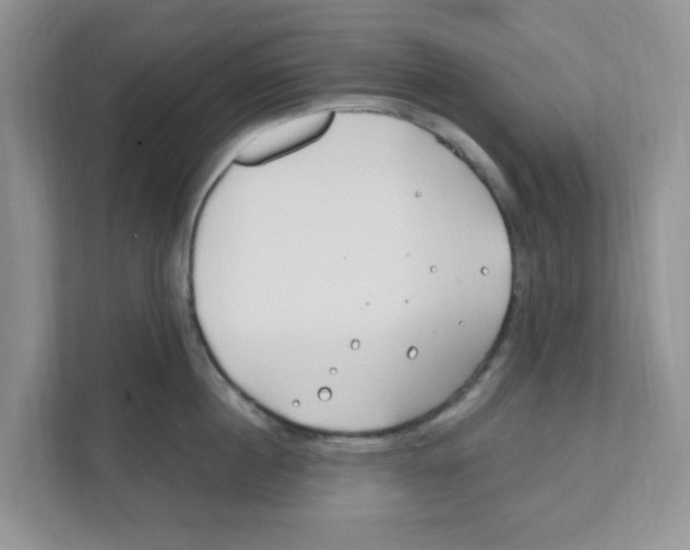 X0000110930860200907161538