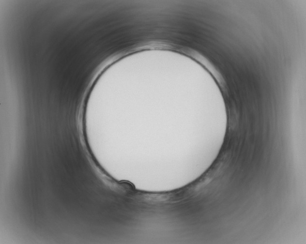 X0000110930861200907161538
