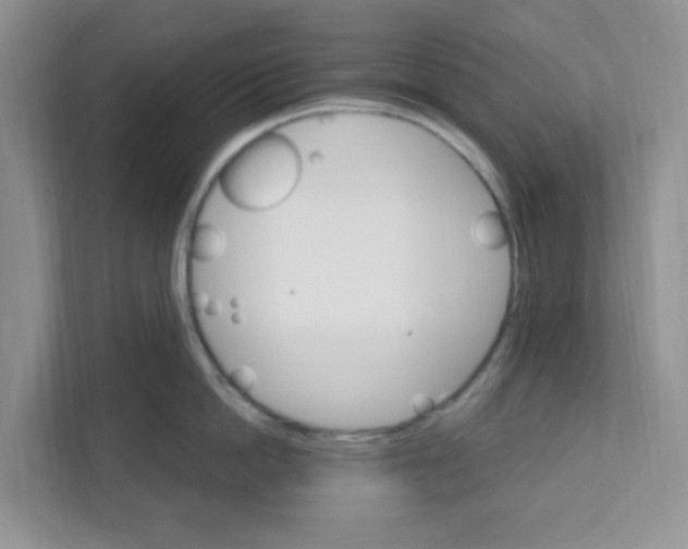 X0000110930862200907161538
