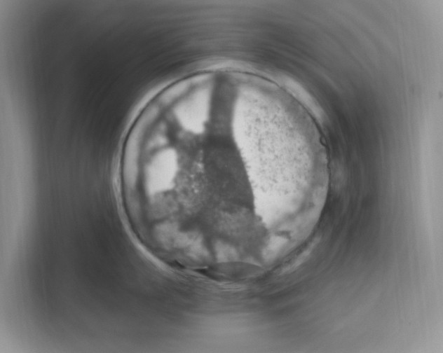 X0000110930863200907161538