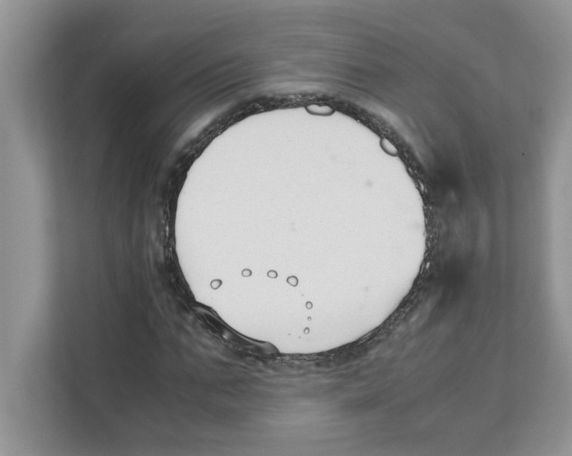 X0000110930871200907161537