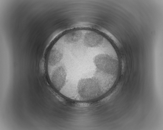 X0000110930878200907161537