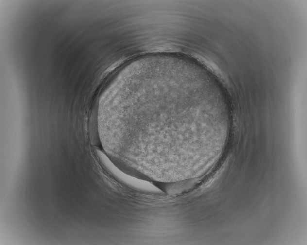 X0000110930881200907161537