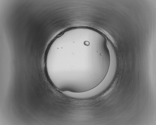 X0000110930885200907161537