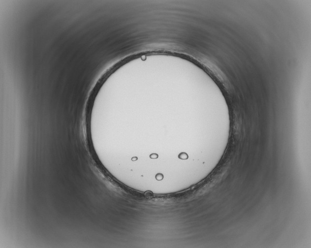 X0000110930888200907161537