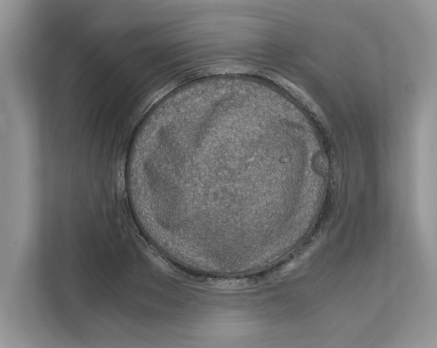 X0000110930889200907161537