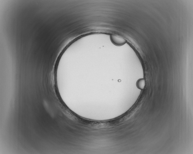X0000110930891200907161537
