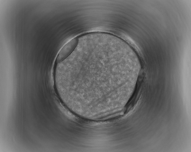 X0000110930892200907161537