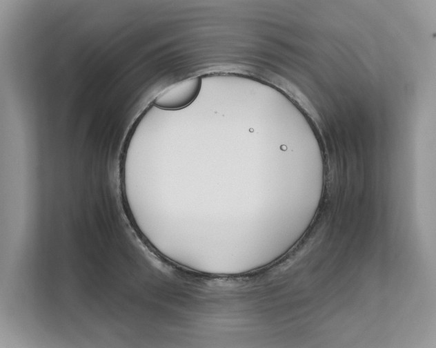 X0000110930898200907161537