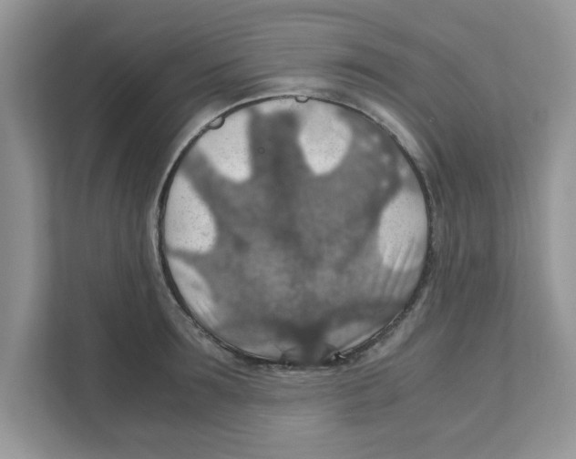 X0000110930899200907161537