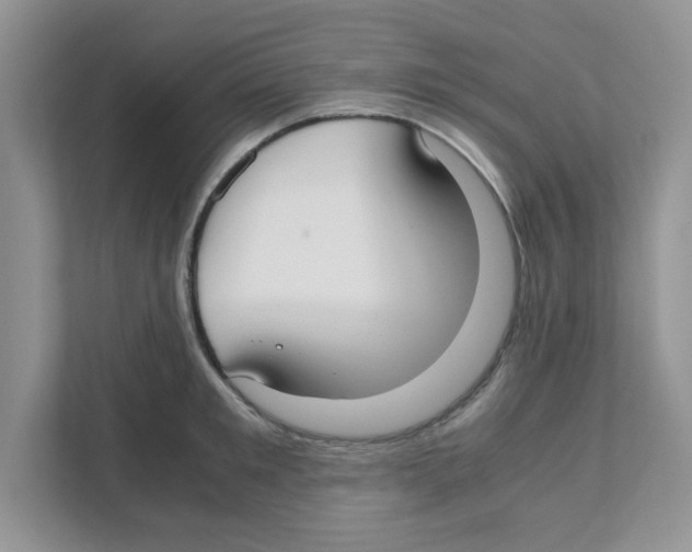 X0000110930901200907161537