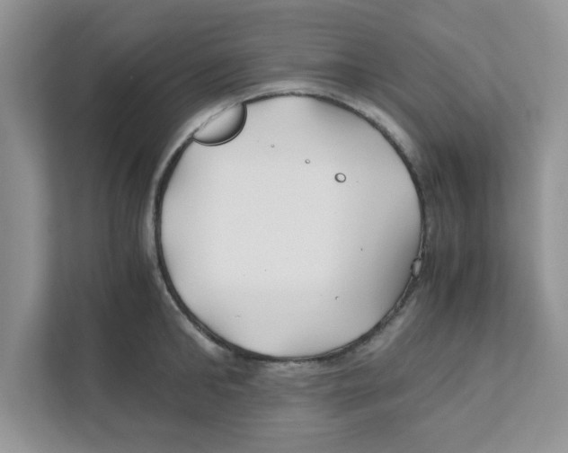 X0000110930902200907161537