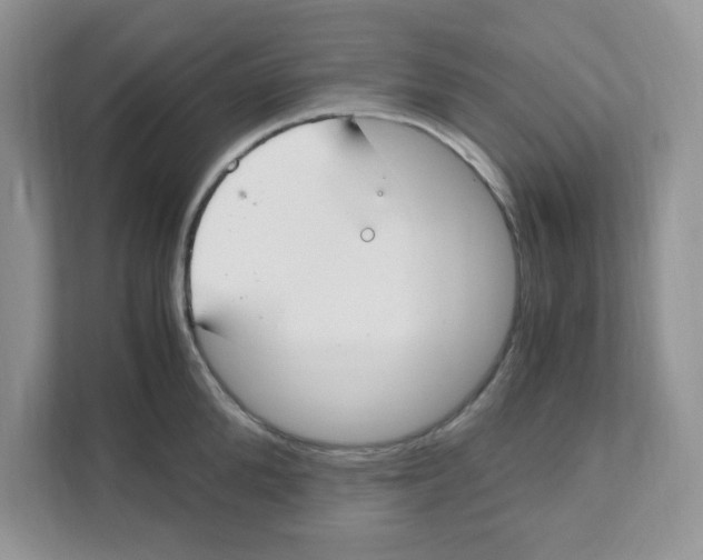 X0000110930904200907161537