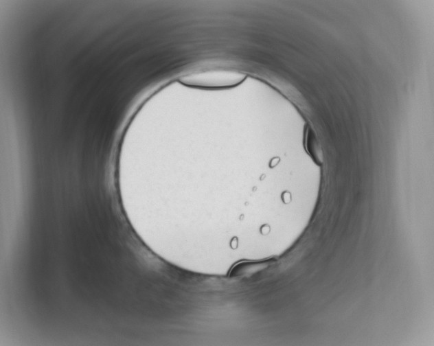 X0000110930912200907161536