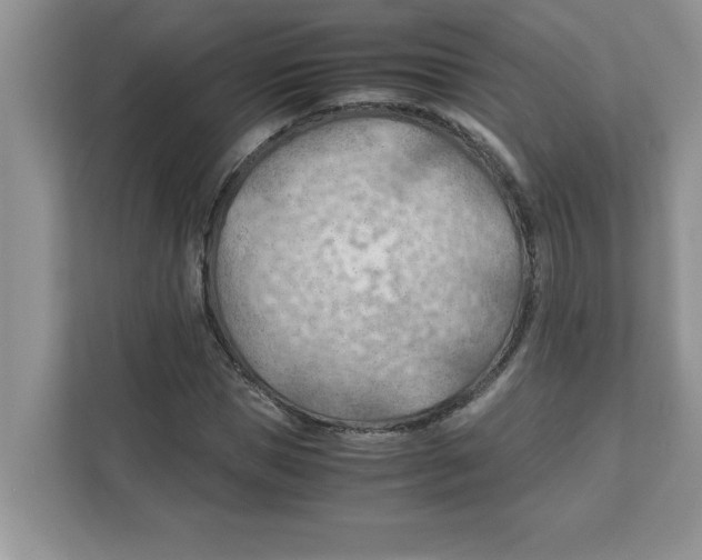 X0000110930921200907161536