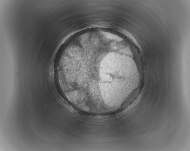 X0000110930923200907161536
