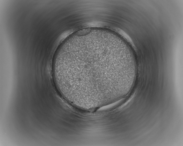 X0000110930930200907161536