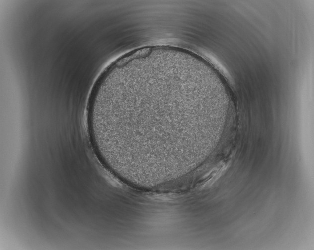 X0000110930932200907161536