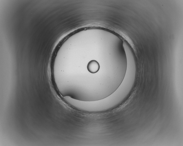 X0000110930936200907161536