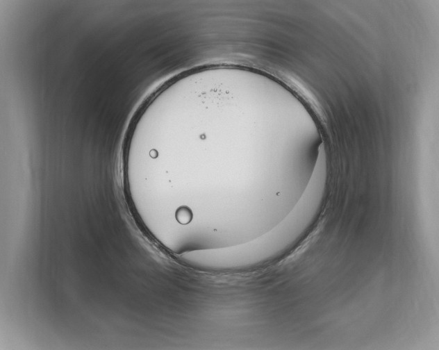 X0000110930940200907161536