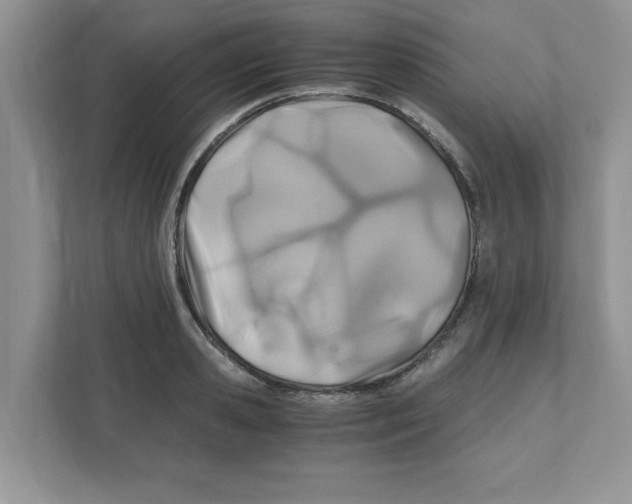 X0000110930941200907161536