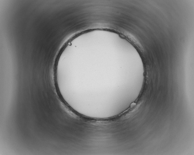 X0000110930942200907161536