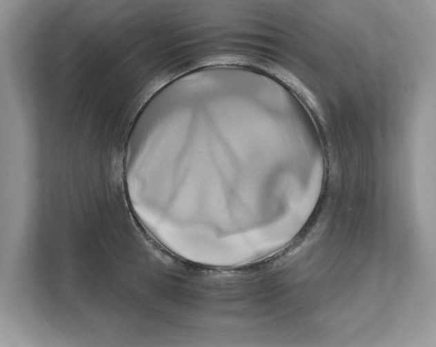 X0000110930945200907161536