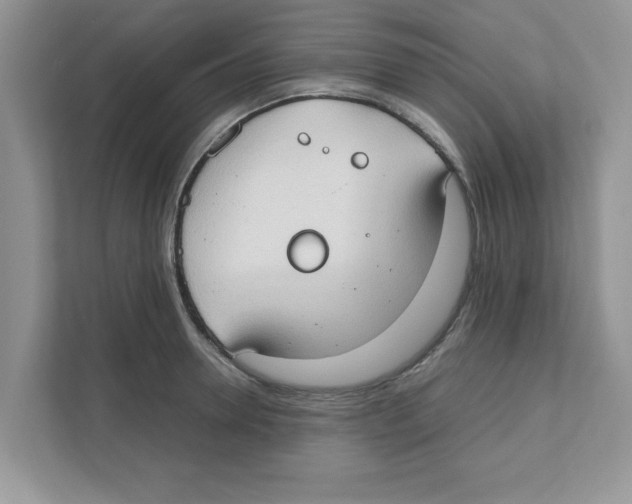 X0000110930946200907161536