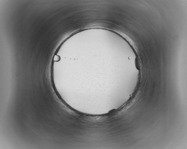 X0000110930949200907161536