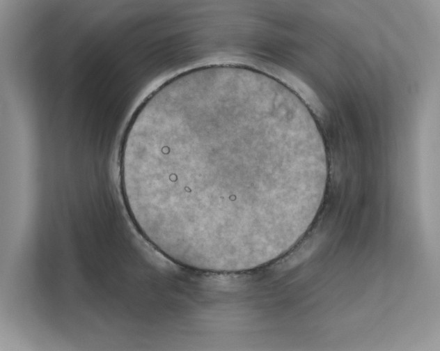 X0000110930950200907161536