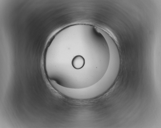 X0000110930952200907161536