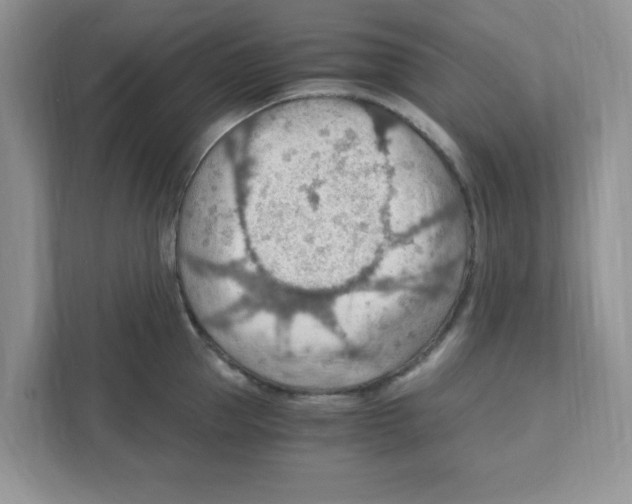 X0000110930953200907161536