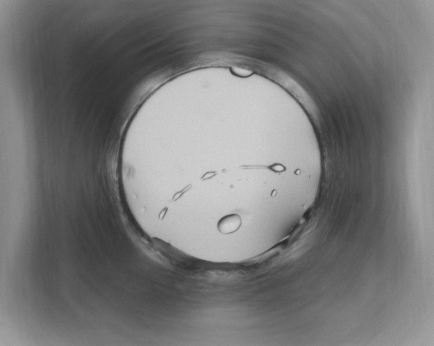 X0000110930954200907161536