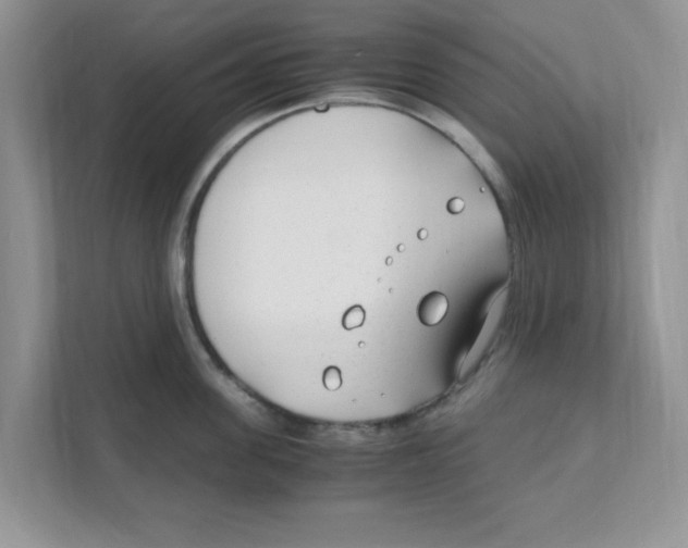 X0000110930955200907161536