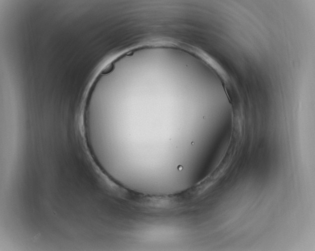 X0000110930959200907161536