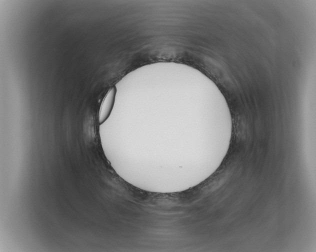 X0000110930962200907161536