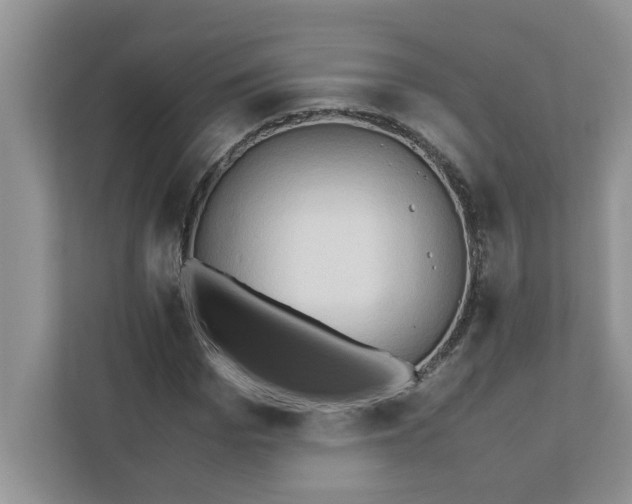 X0000110930969200907161536