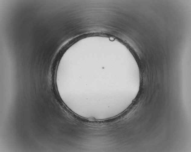 X0000110930975200907161536