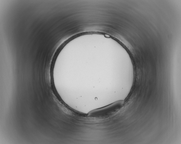 X0000110930980200907161536