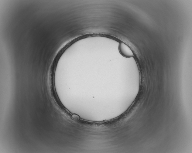 X0000110930983200907161536