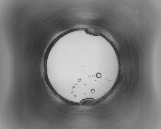 X0000110930984200907161536