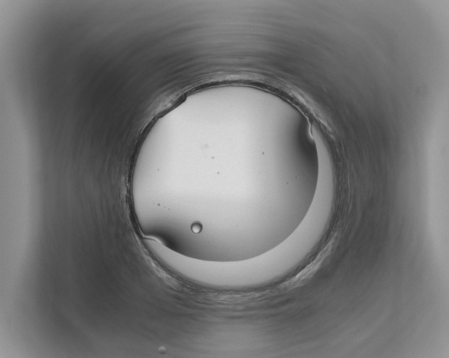 X0000110930985200907161536