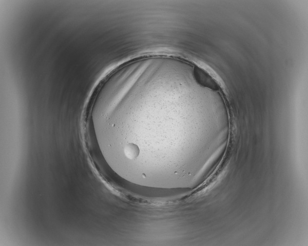 X0000110930989200907161535