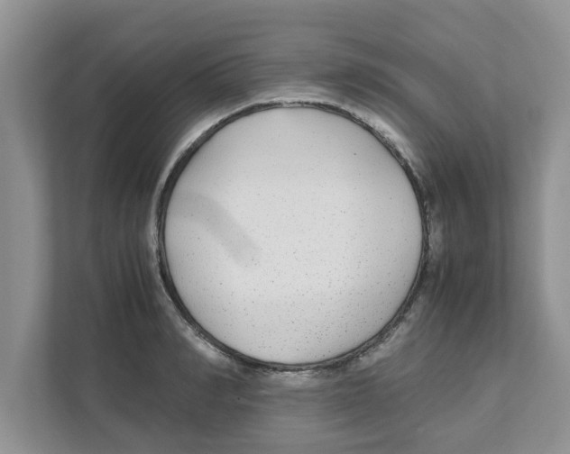 X0000110930990200907161535