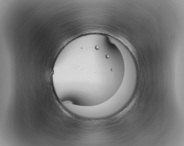 X0000110930993200907161535