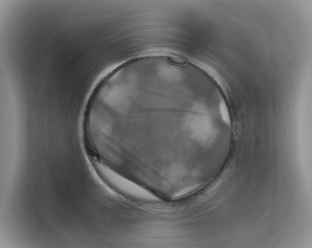 X0000110930995200907161535